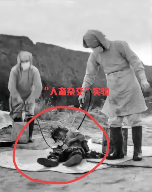 731部队的“人畜杂交”实验，
那简直是人类文明史上一道触目惊心的耻辱疤！

 