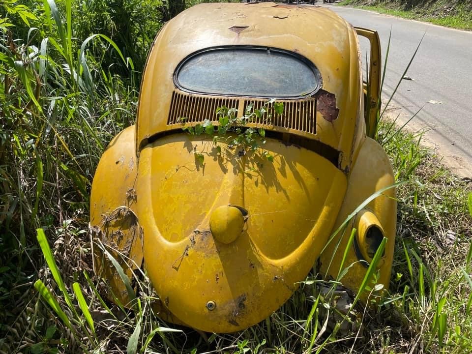 怎就被遺棄了！ 