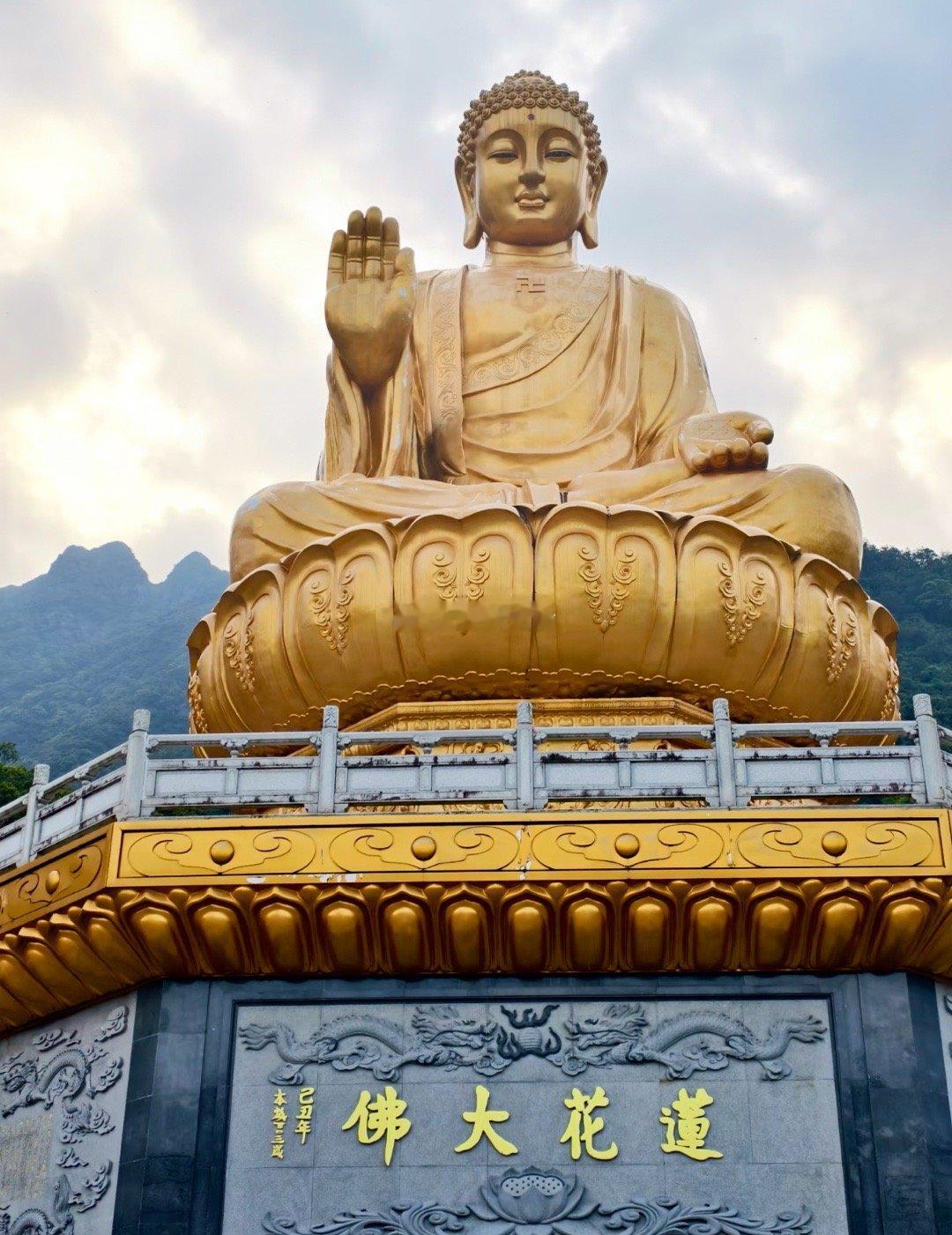 恭喜刷到莲花大佛，所见皆福报，别划走🙏 ​​​