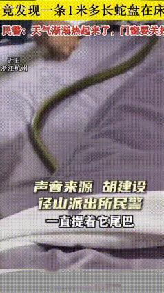 惊魂一幕！杭州女子刚上床，发现1米多长蛇趴在枕边
 太吓人了！大晚上遇到这谁扛得