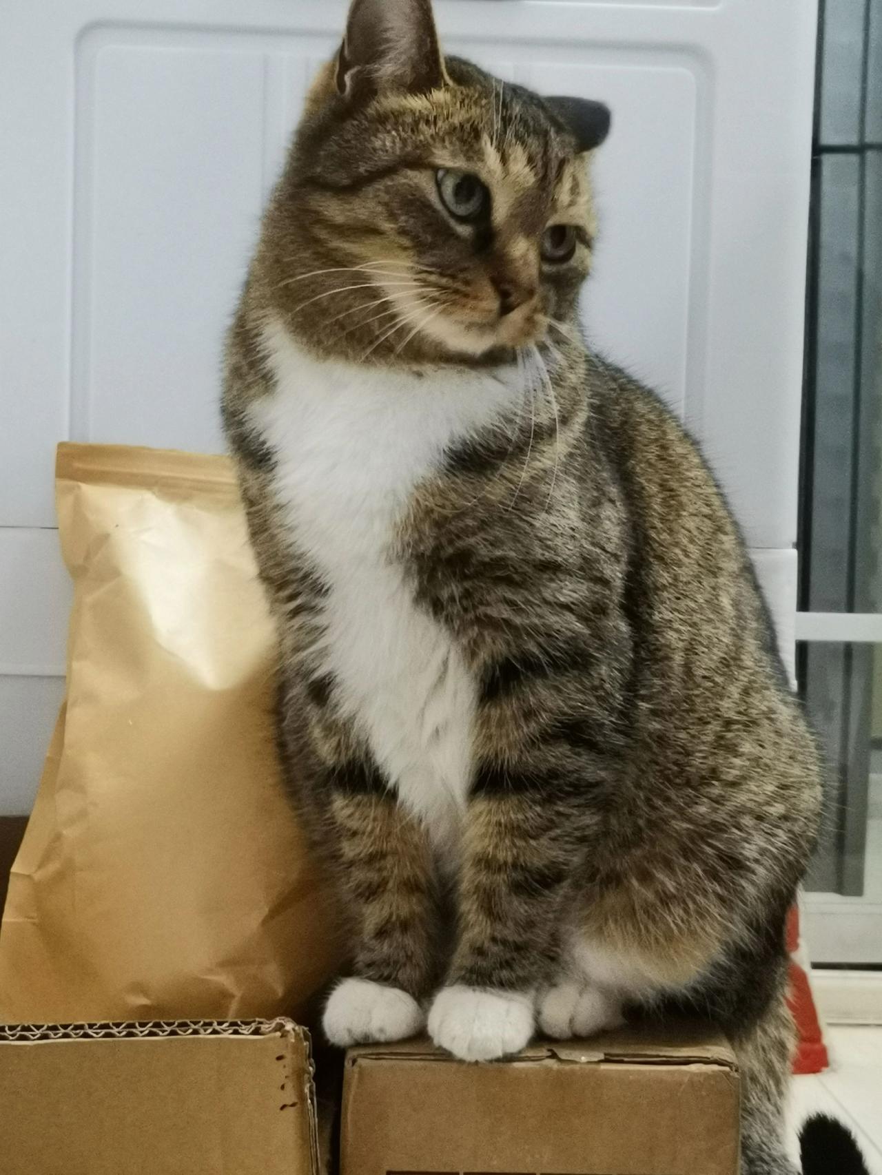 在想吃冻干！等待中！