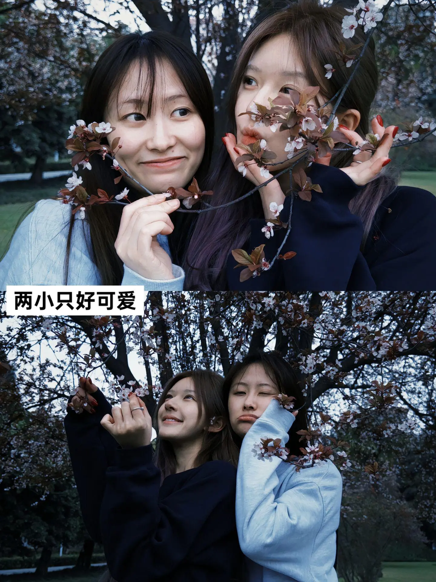 是发小，是助理，是朋友，是闺蜜，更是家人 感叹道女孩子的友情真 的很美...
