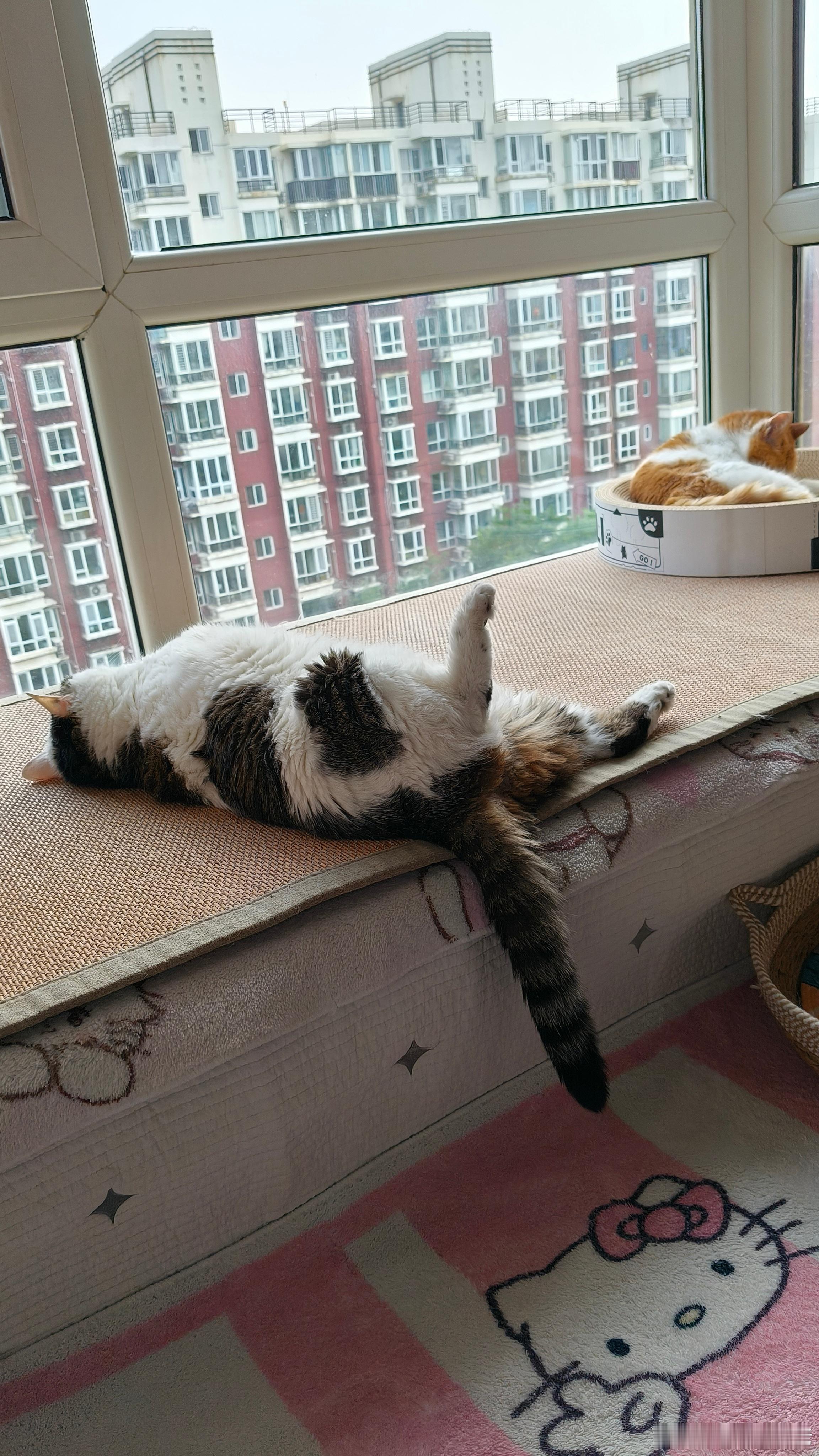 如今的女生都这么豪放了吗