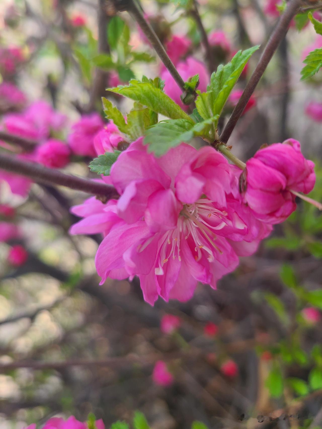 《三伏天》
三伏天
最适合潜伏了
在阴凉的室内
在微风习习的树下 

隐藏好自己