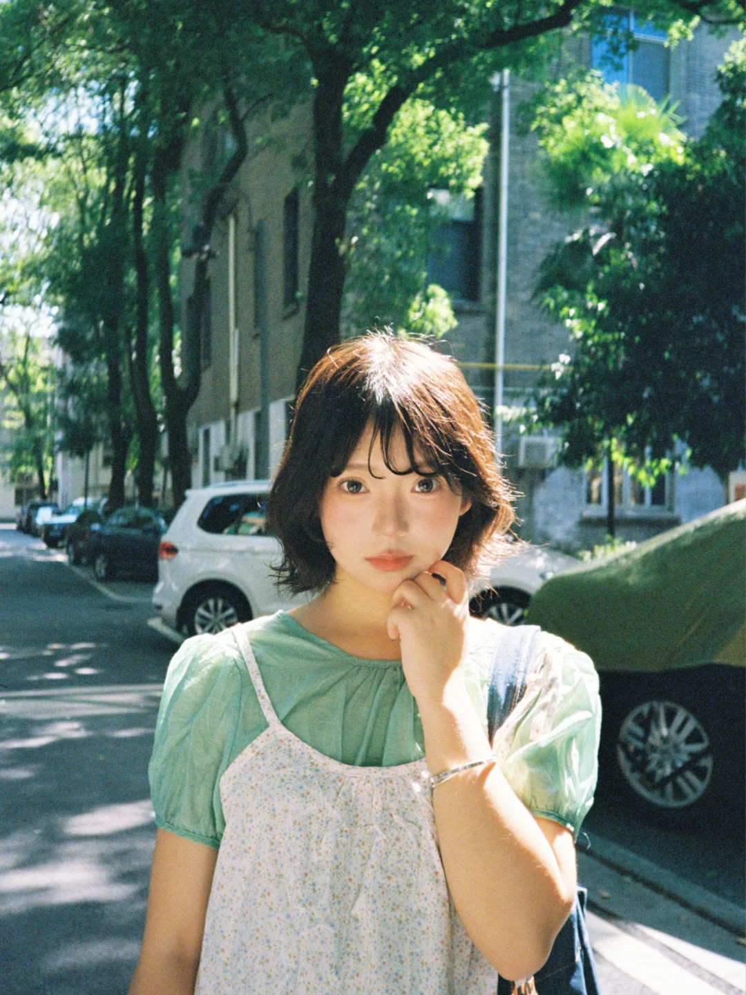 🎞️开始期待盛夏的蝉鸣和光