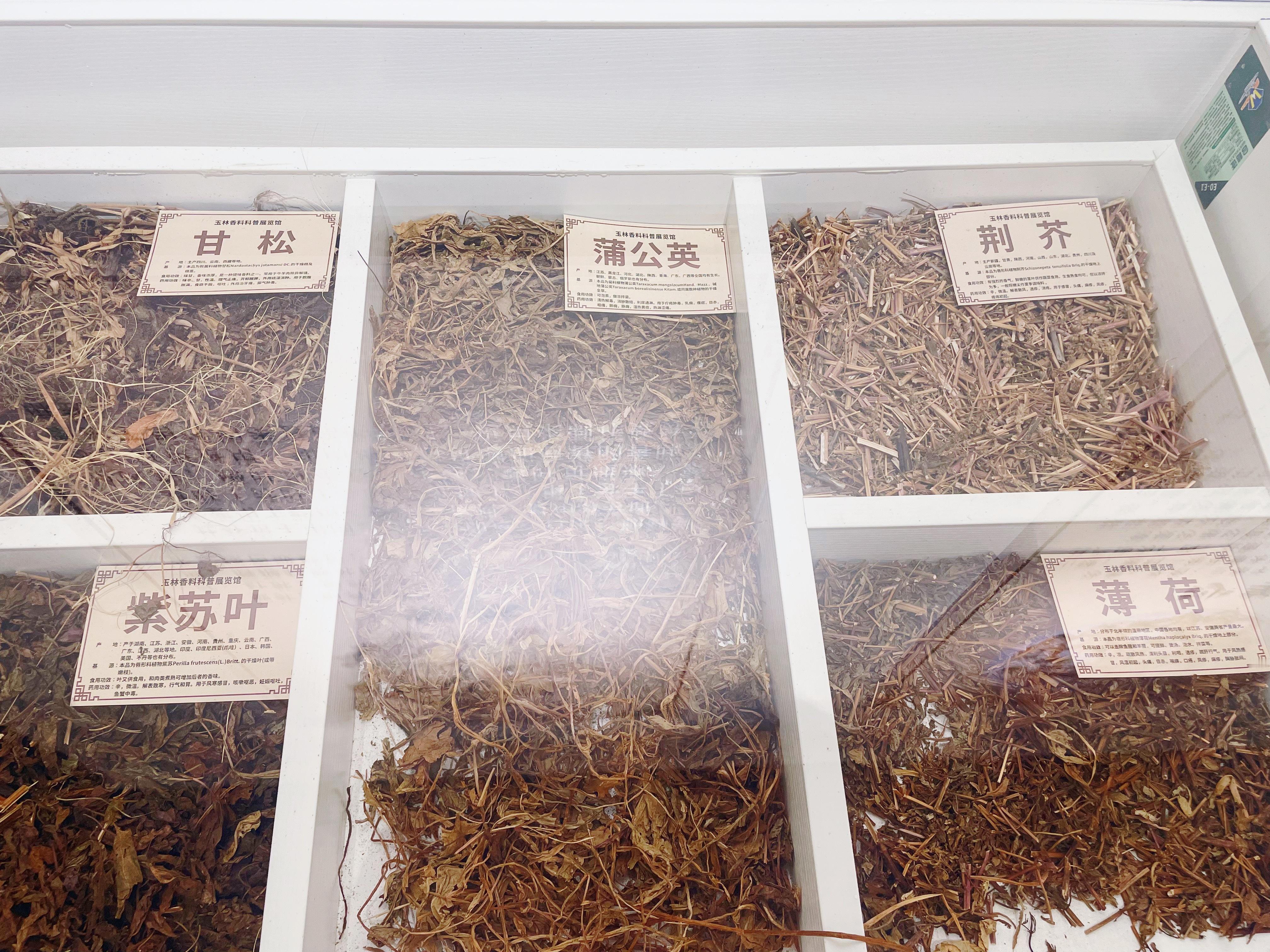 开局之年看中国玉林香料世界味道 玉林国际香料中心之玉林香料科普展览馆，中国香料发