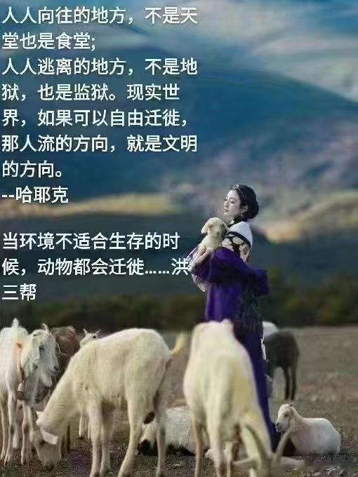 专治红眼、火眼，祛火明目立效[赞]那是二十多年前的夏天，正赶上社会上爆发红眼病。