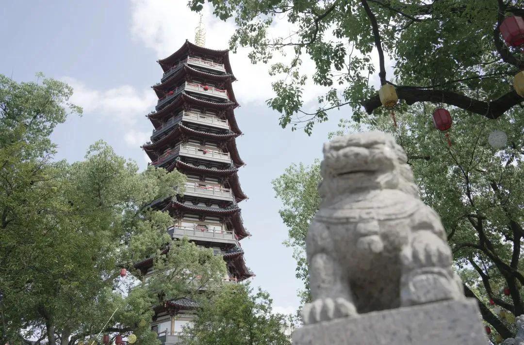 地处上海西北部的嘉定区，是上海五大新城里实力靠前的板块，也是公认发展最好的郊区之