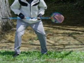 境外人员违规捕蝶被抓！
 4月16日，国家安全部通报案例 ：两名外籍人员以学术交