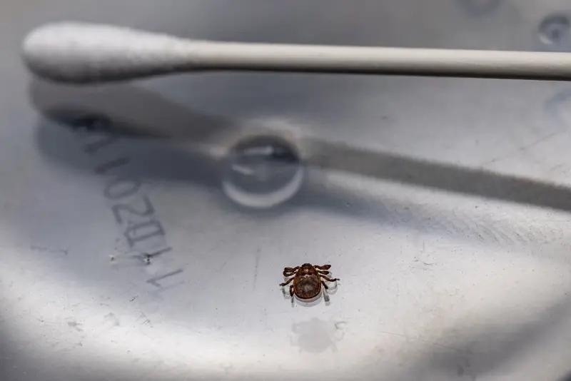 4月24日浙江杭州，一女子住亚朵酒店，睡醒发现虱子满床跑，在离店一周后身体出现大