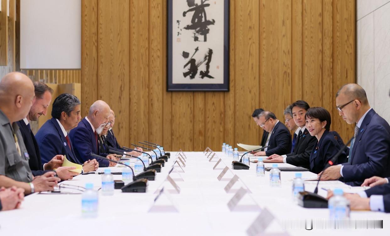 高市早苗搞了一个峰会！


令大家感到惊奇的是，日本首相高市早苗可谓想法颇多，最