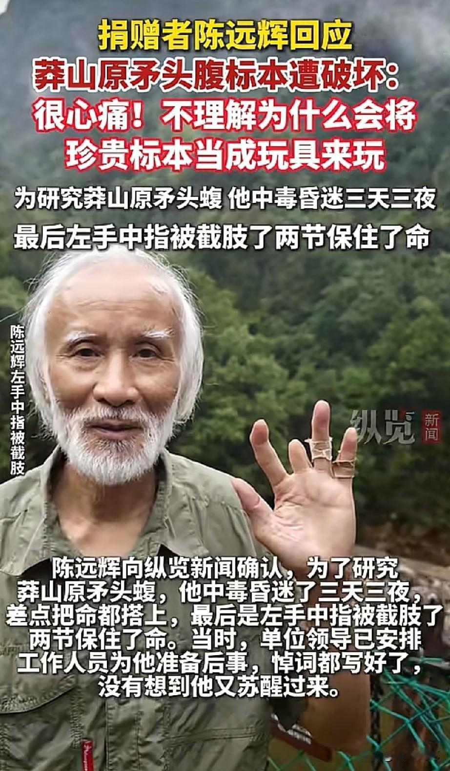 77岁的“蛇博士”陈远辉真的太让人心疼了！国家动物博物馆一件莽山原矛头蝮标本被人