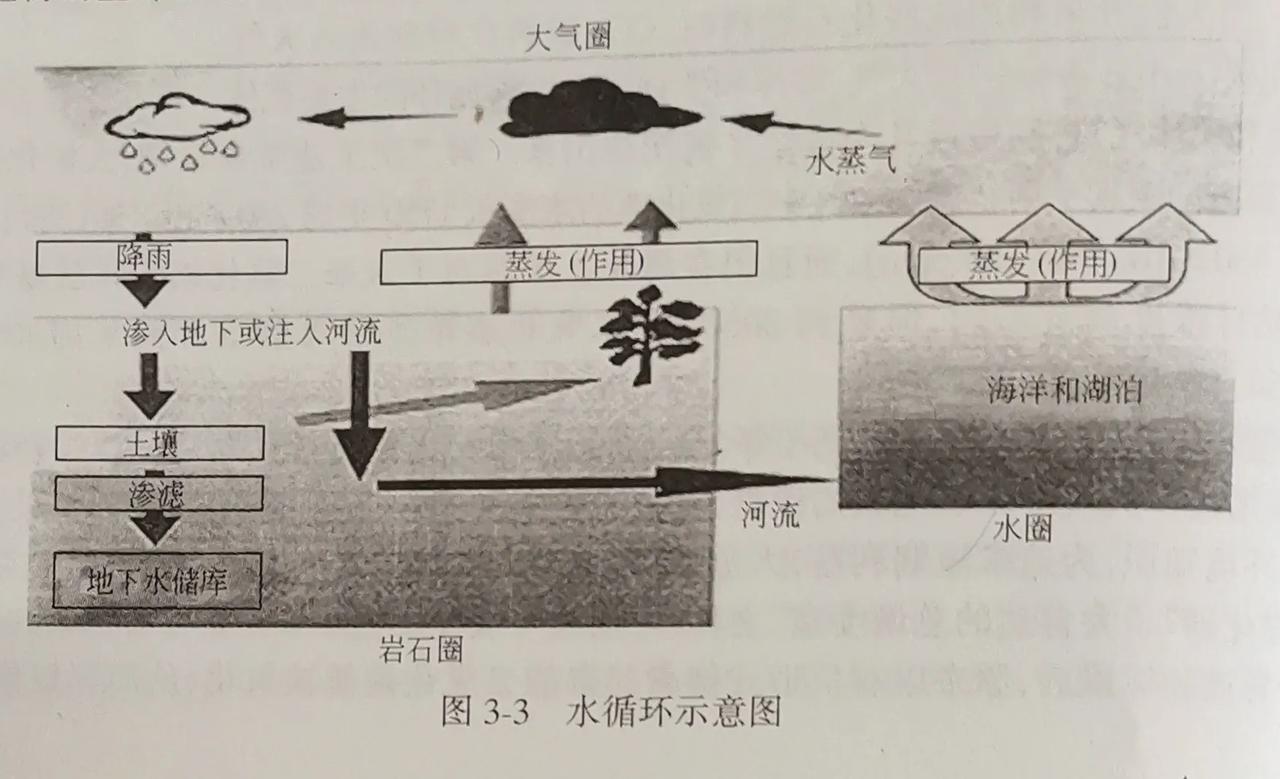 水循环系统：
哪里得到最洁净的水呢？
#爆料#