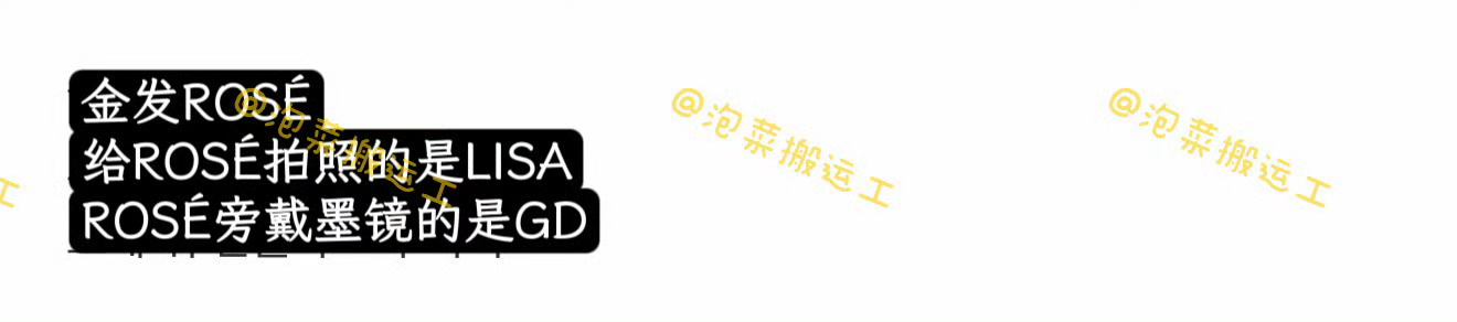 权志龙朴彩英Lisa一起看比伯科切拉权志龙朴彩英Lisa看了比伯科切拉权志龙、L