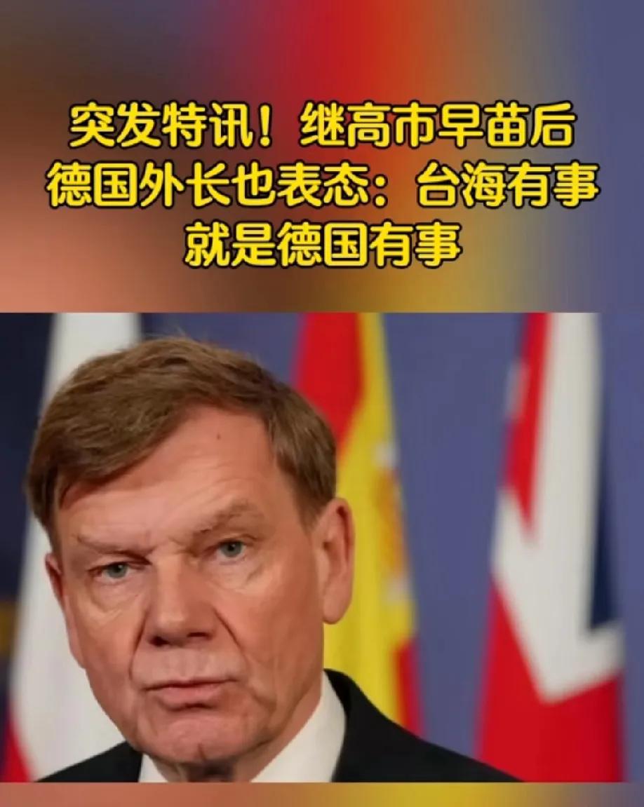 德国外长，台湾有事儿就是德国有事！
果然世界是一个轮回，如今的德国和日本又打算梦