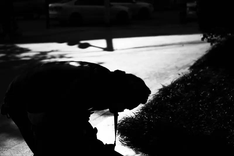 自己的低头，并非懦弱，而是为了将养分默默传给下一季的生长，积蓄力量等待绽放。