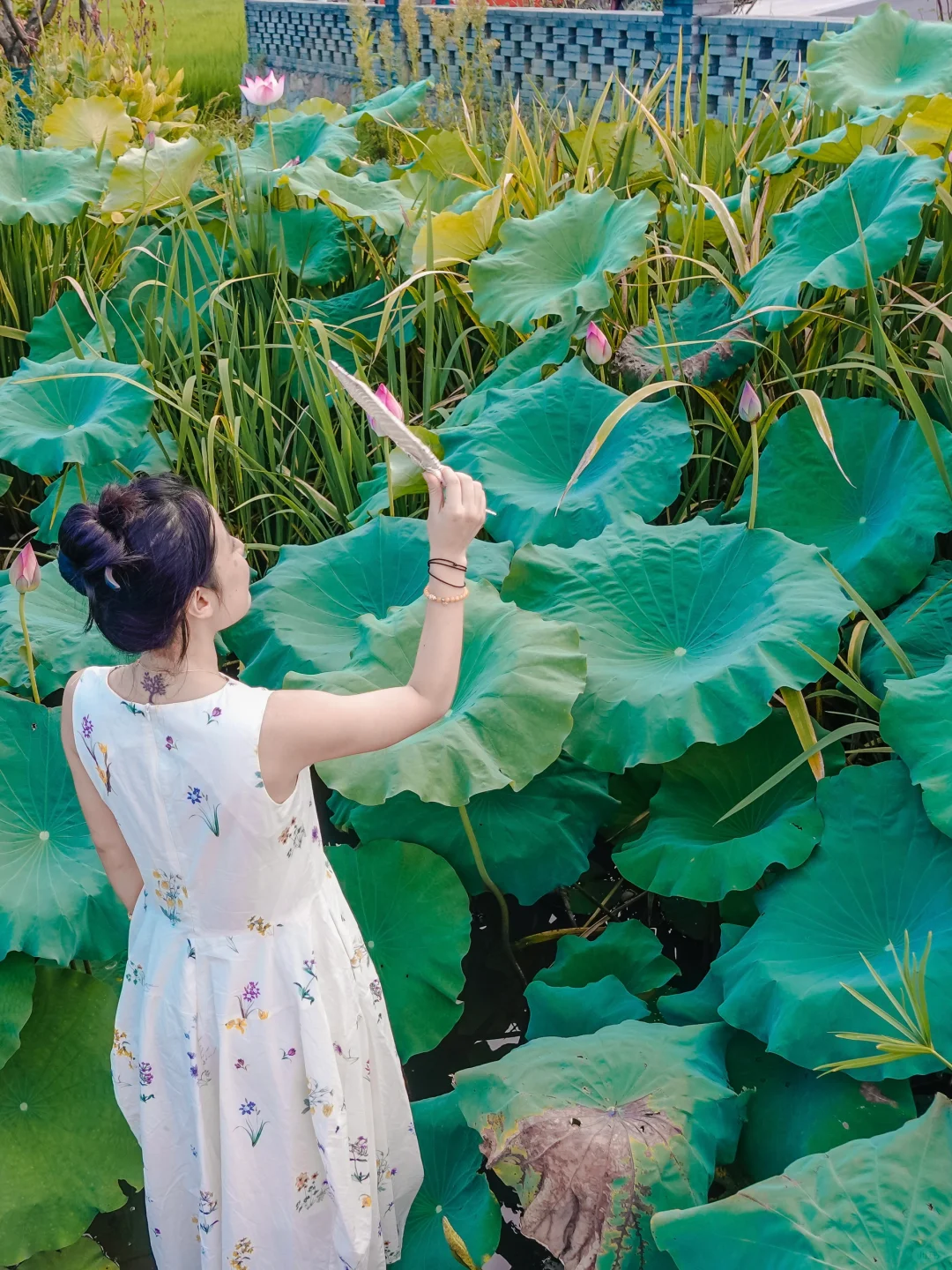 良渚的稻田秋千美爆了🌾趁着没火赶紧冲‼️