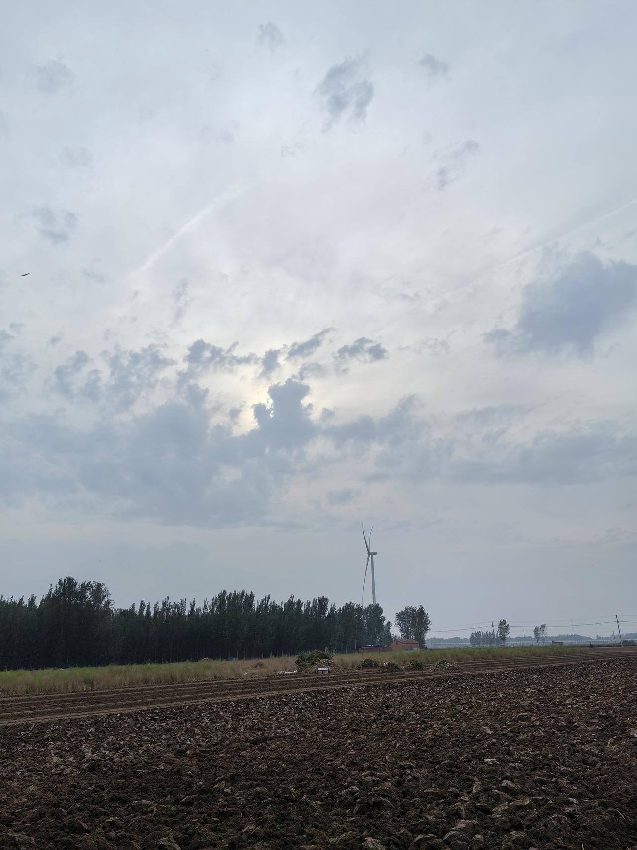 风吹过的田野，藏着生活的小确幸
 
你瞧，这刚翻整的土地多像老家外婆烙的饼，糙糙