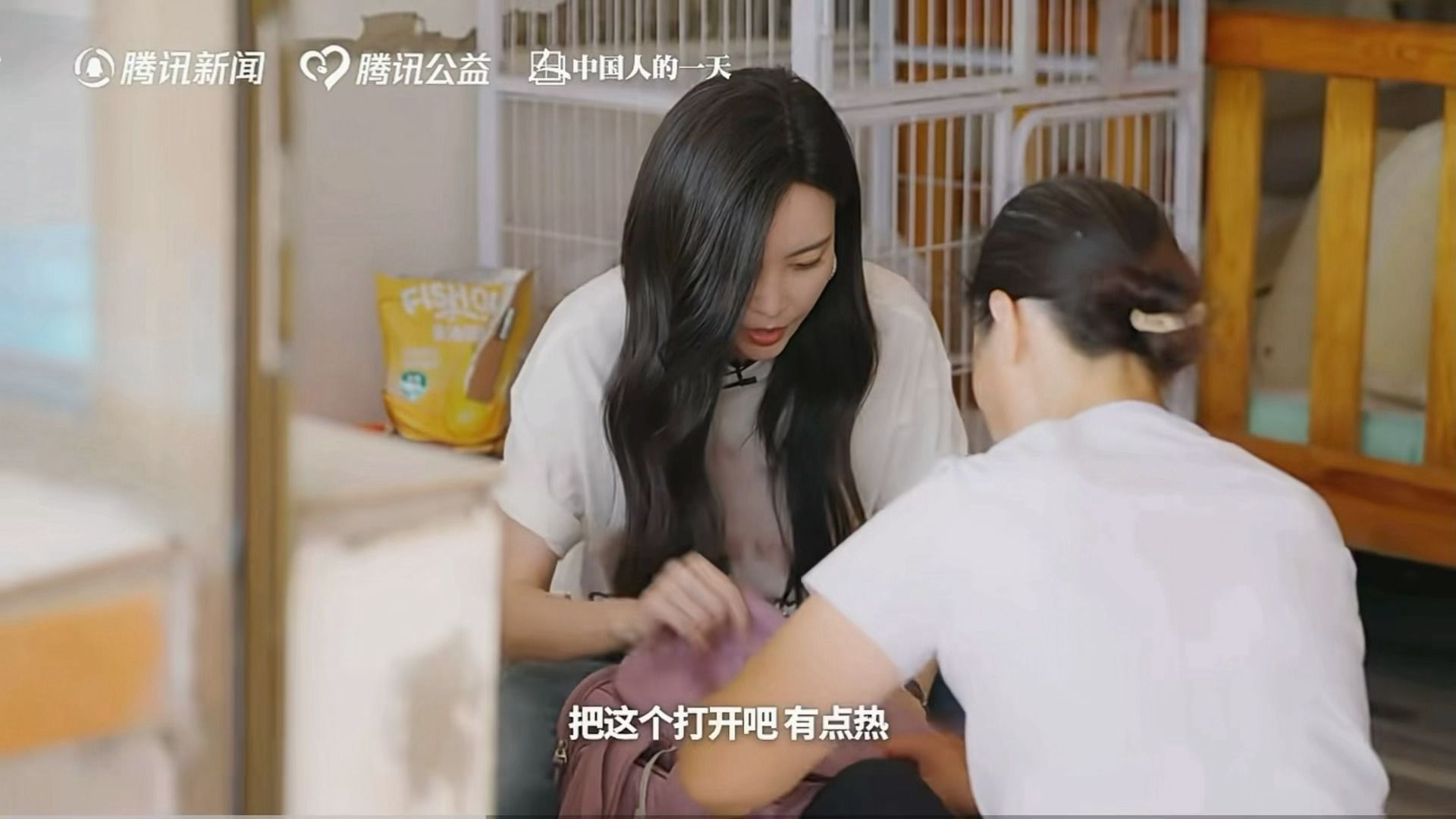 于文文呼吁领养代替购买 妈咪之所以是妈咪[捂嘴哭]温柔低语“把这个打开吧 有点热