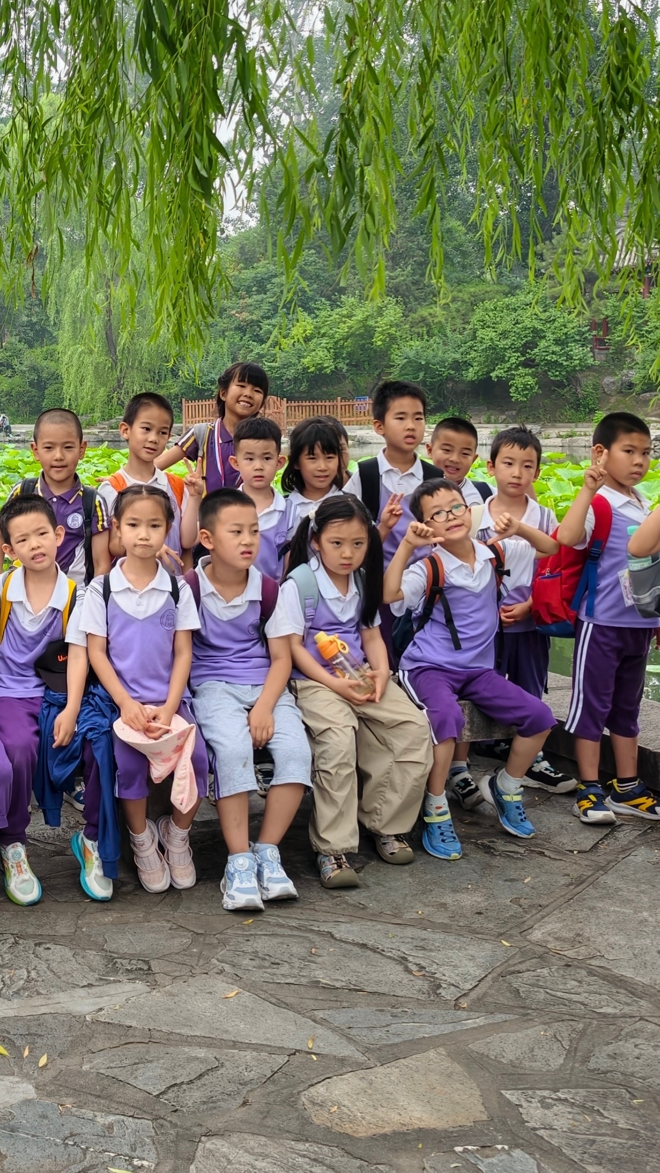 又学习去了溜溜桃
