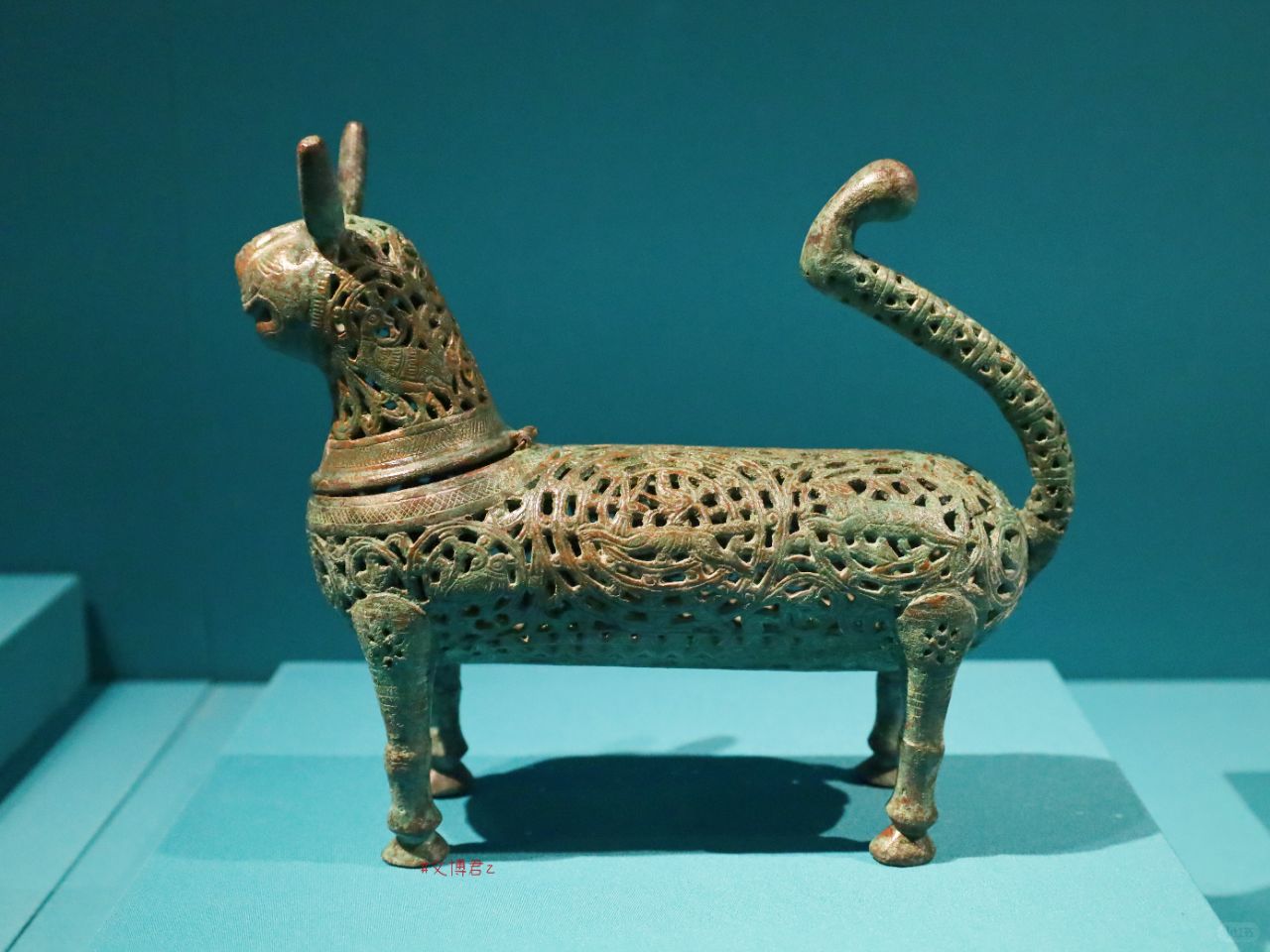 波斯猫