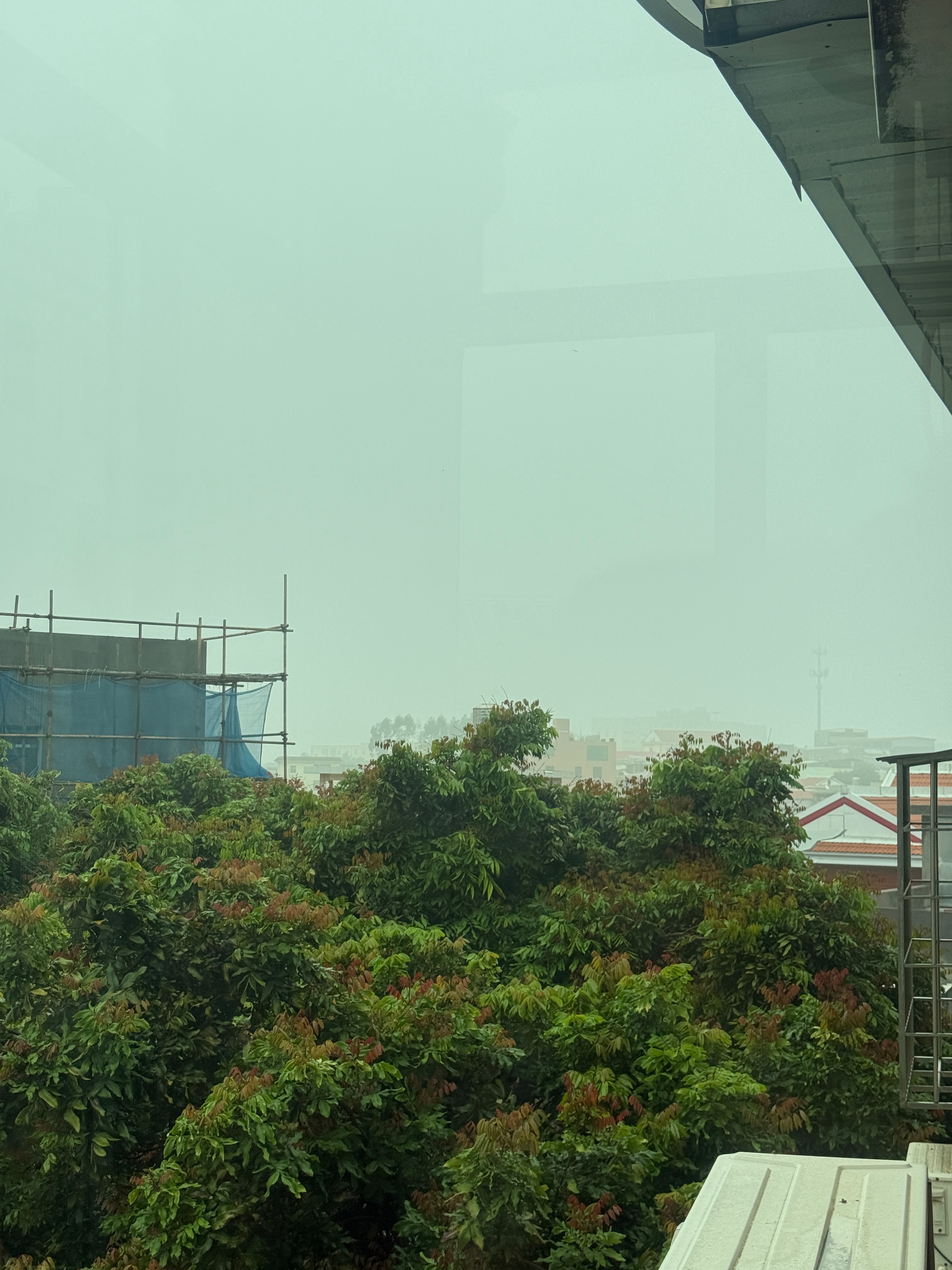 厦门大雾起床打开窗户，能见度极低放弃了户外跑步，安全舒适第一最重要改成室内力量训