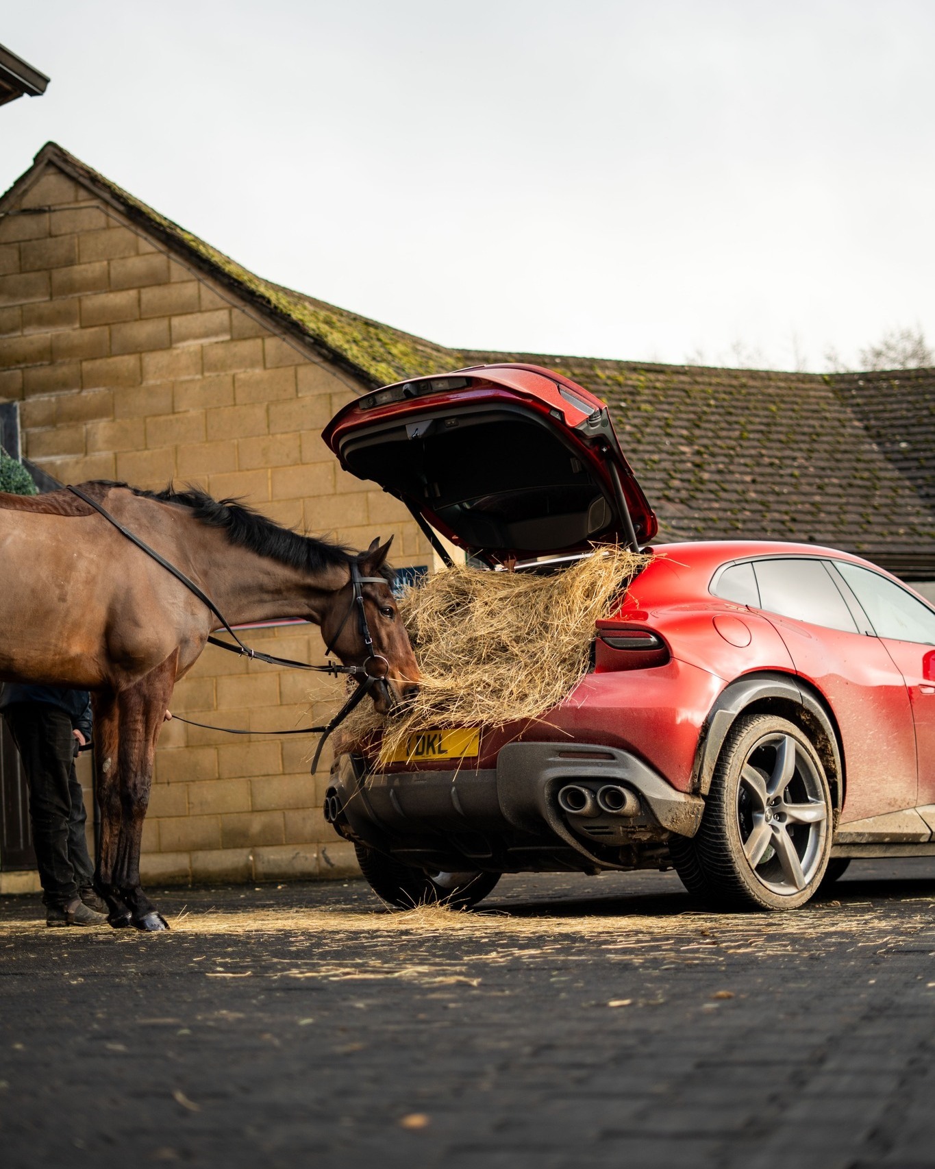 用法拉利当马槽，这得是啥家庭啊？ 