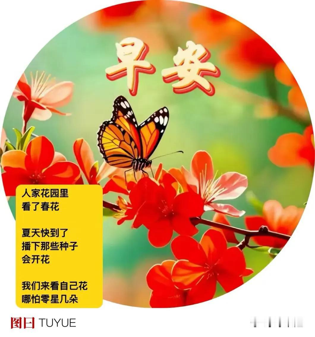 三月四月
历经过倒春寒
马上五月了
我们去夏天
．
又是开花一季
宜配上
花格子