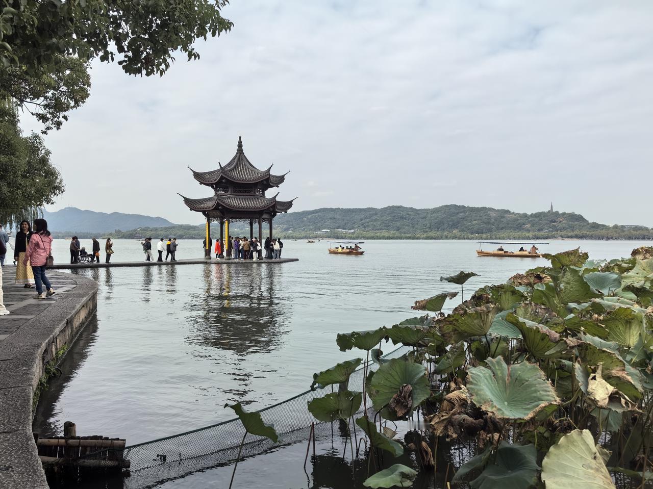 【七律·乙巳重阳】
桂花香里庆重阳，
金菊迟开未吐黄。
云外登高追旧事，
席间把
