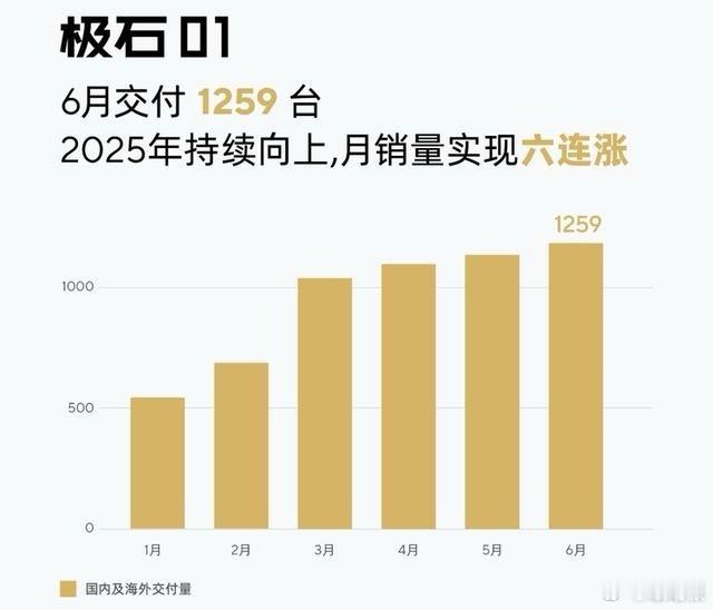 极石01 以“家庭+户外”场景切入，凭借侧开门、外挂备胎等设计满足实用性需求。车