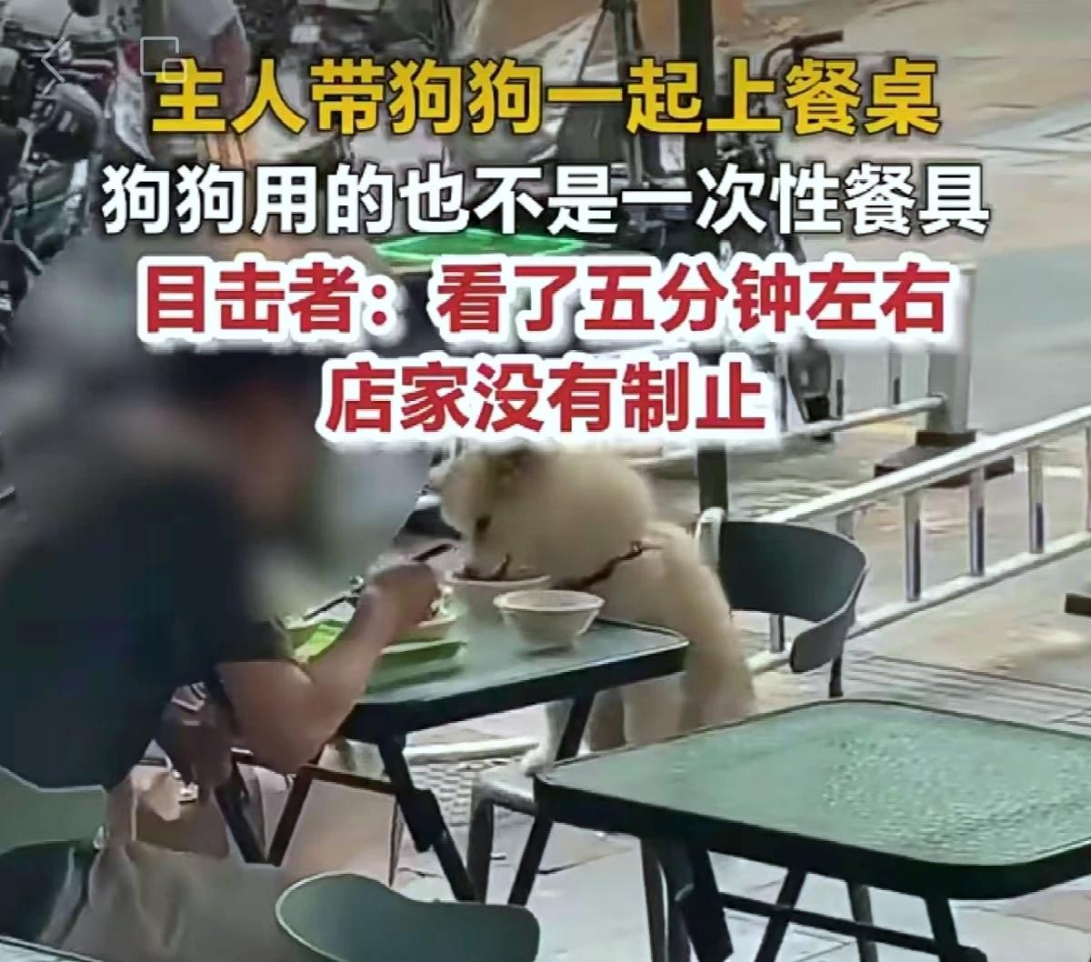 太没底线啦！顾客带宠物狗上桌一起吃饭，还共用公共餐具，这可把大家给气坏了。
  