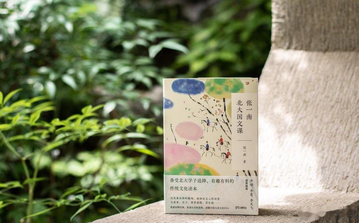 阅读使我告别迷茫我的私人宝藏书单书评 《张一南北大国文课》带你大开脑洞，真正读懂
