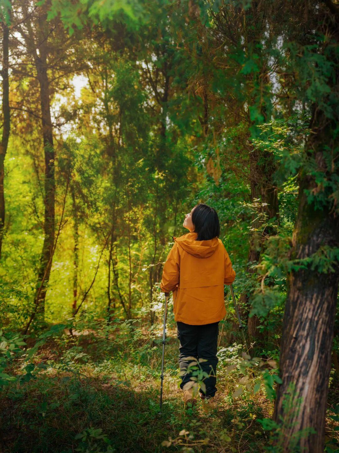 去森林撒野吧🌳自然的入口是我们的秘密基地