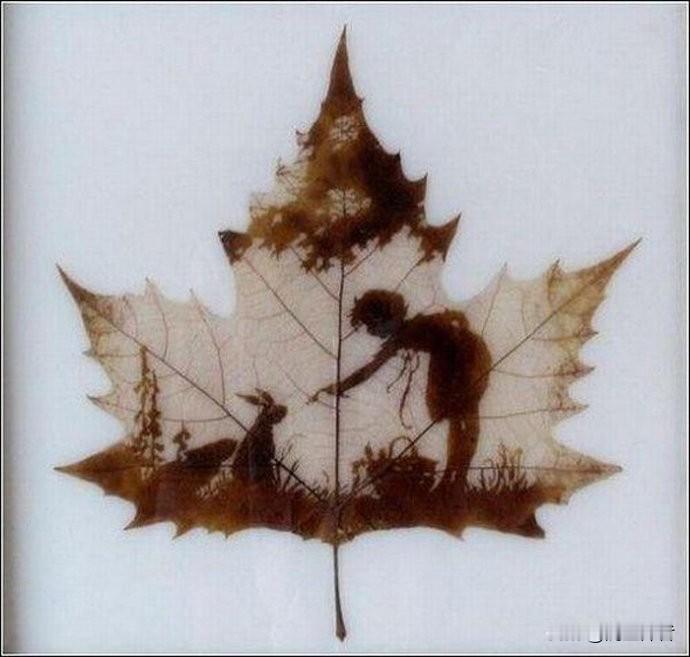 可以分享一张你相册里最美的秋景树叶照片吗?

秋天到了，趁着树叶变黄掉落之际赶紧