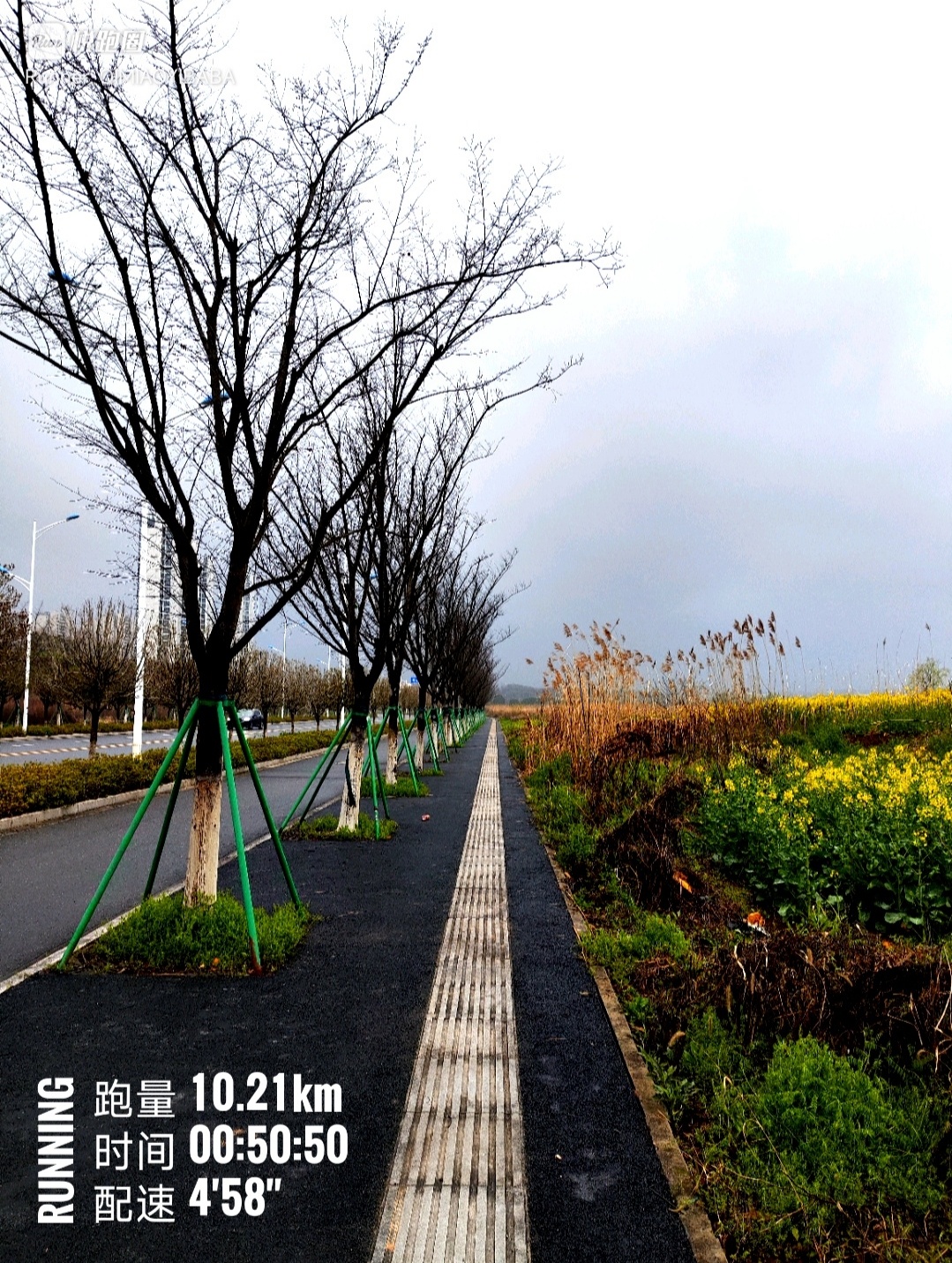 同学们早ﾉ☀张弛有度吧劳逸结合吧