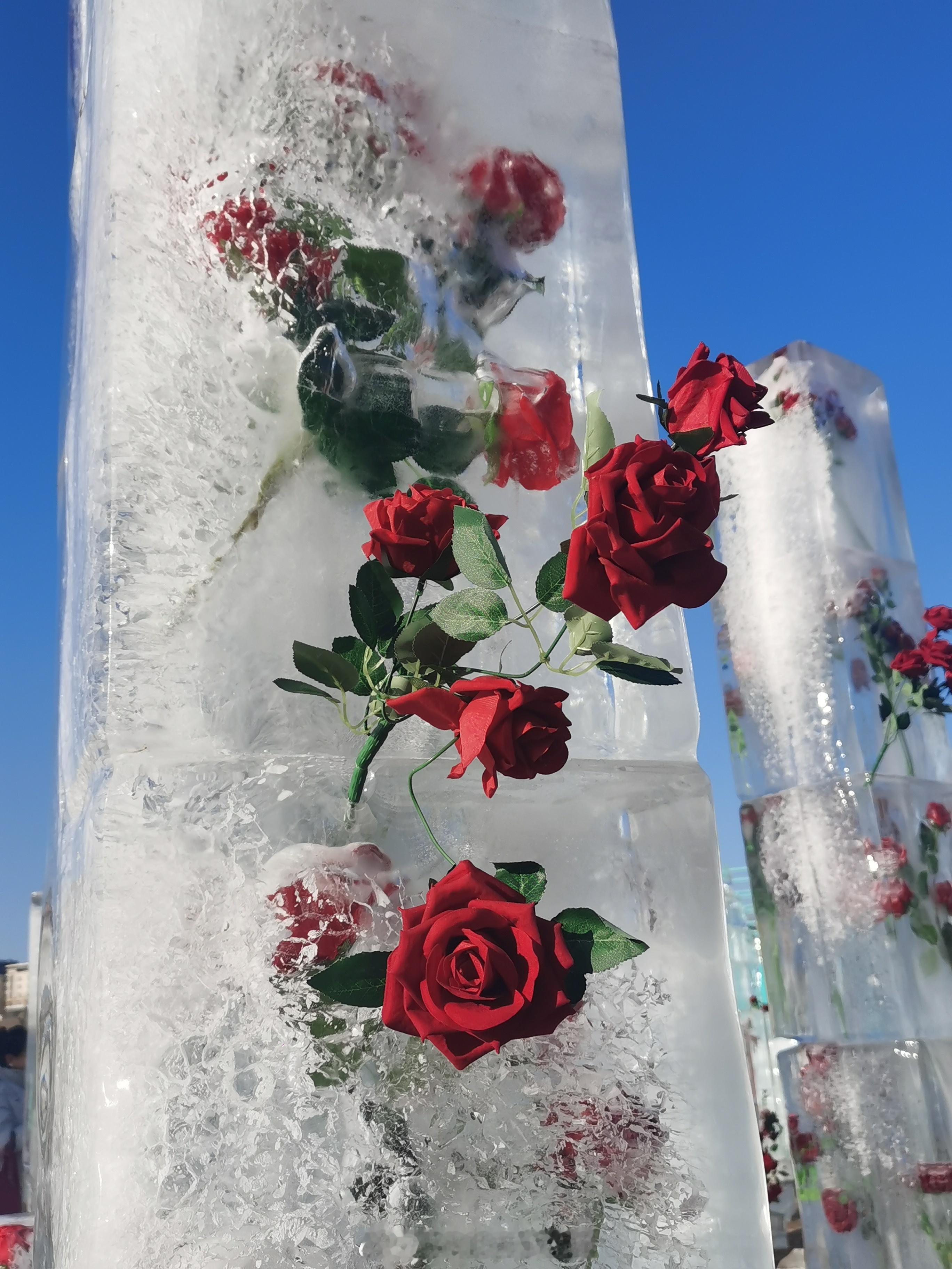 所有在逆境中得到的援手，都是你在顺境中攒下的人品。  