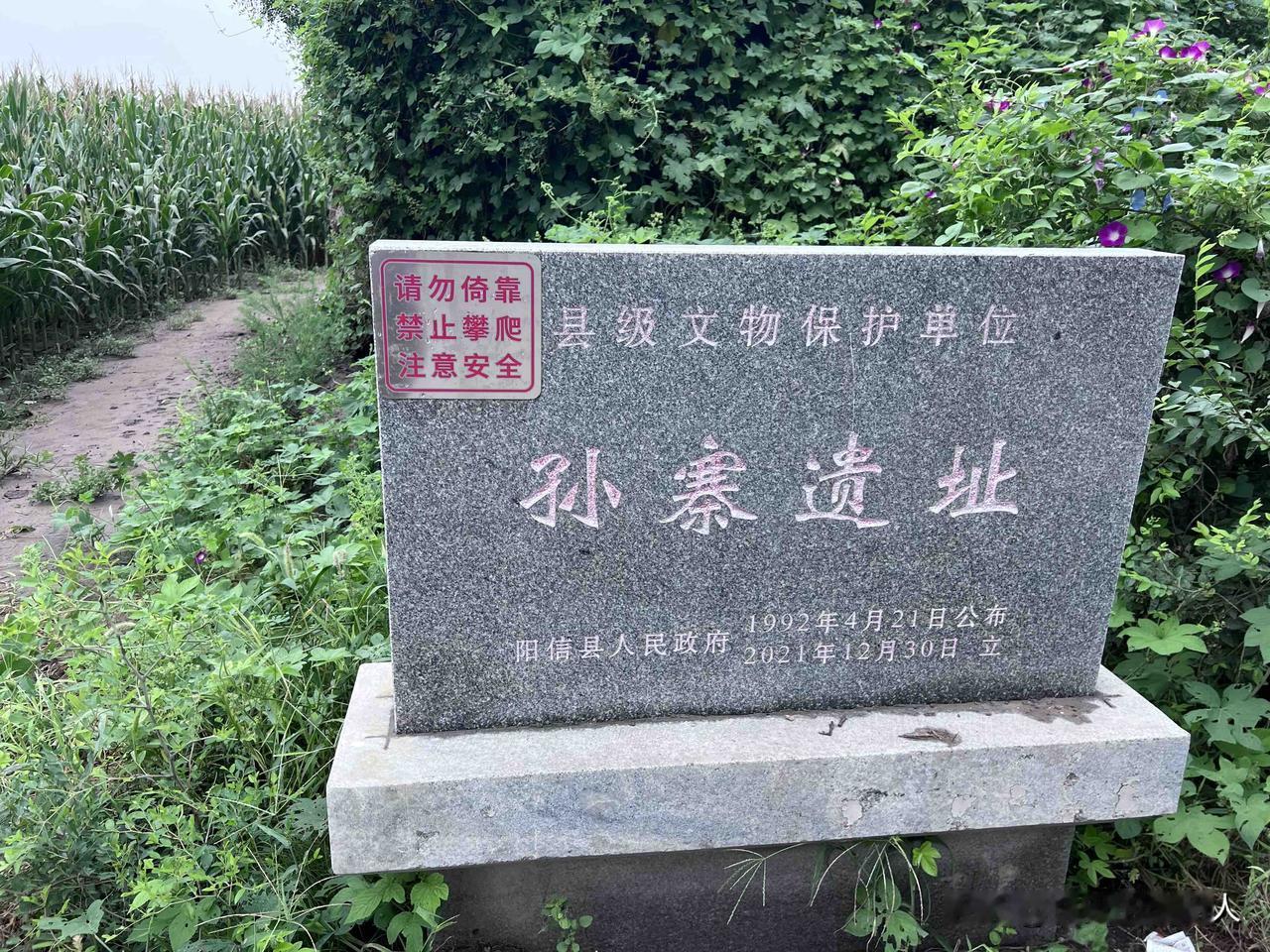 位于山东滨州阳信县商店镇孙寨村南一公里的处的孙寨遗址，遗址中有有一古墓，俗称“黄
