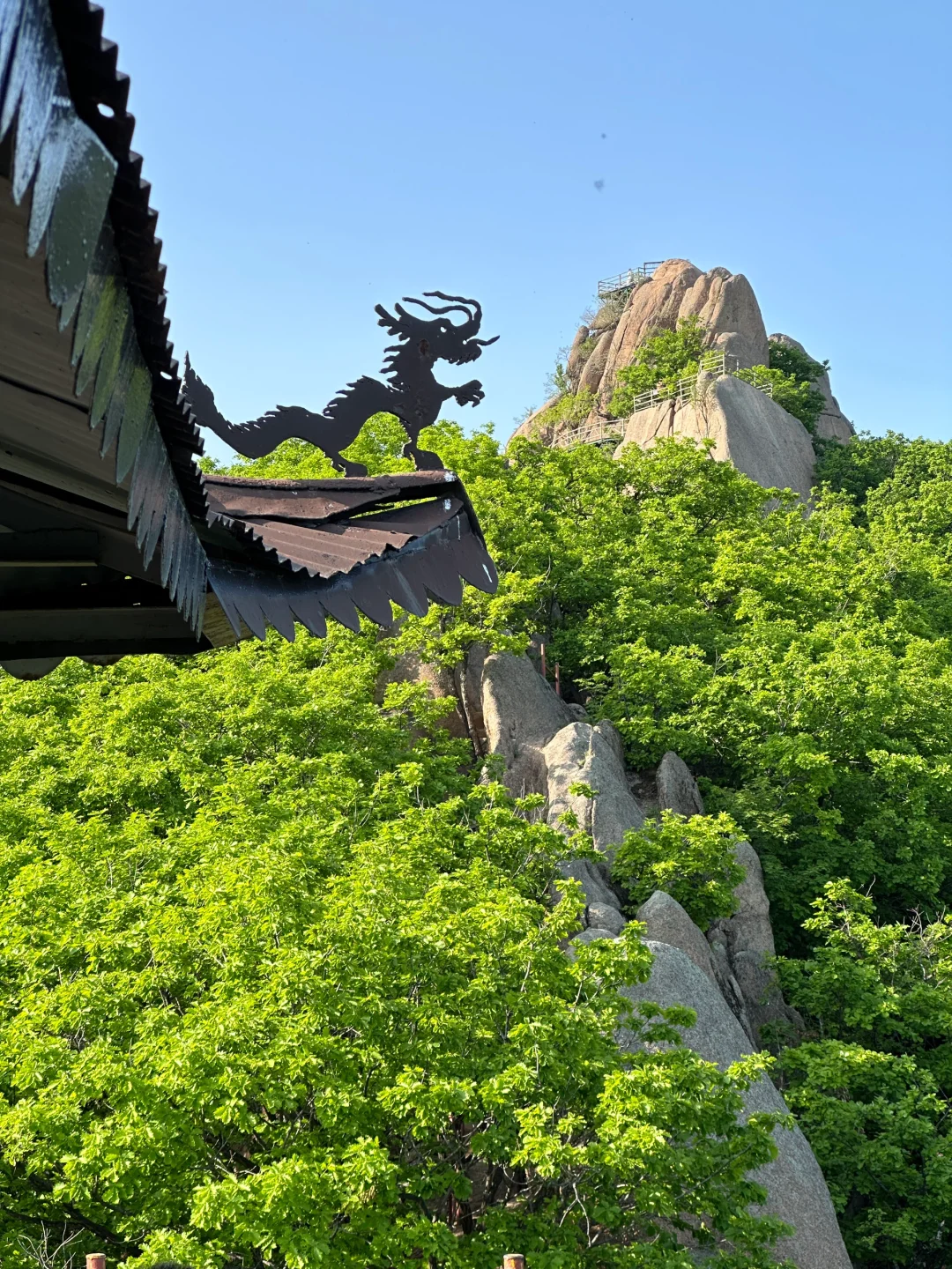 国庆小众旅行地｜漂浮林海国家森林公园