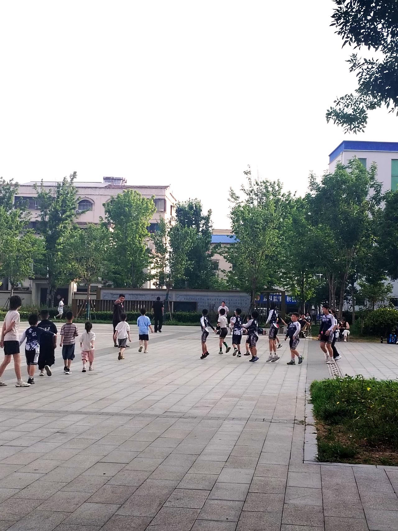 小学生早晨集体参加体育训练你怎么看？今天早晨去公园散步，看到很多小学生在集中训练