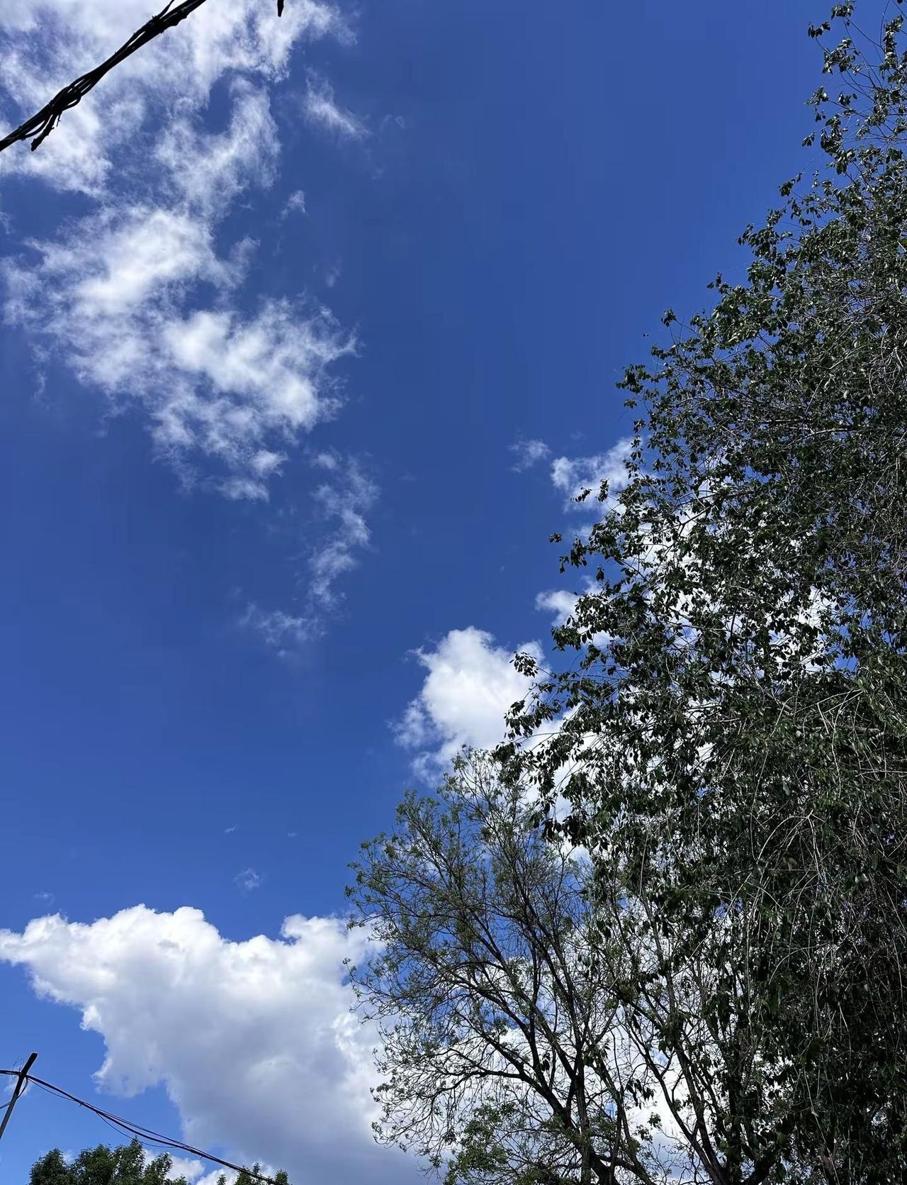北京的天空也干净了。