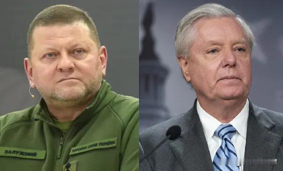 评几句，这位乌克兰武装部队前总司令，退下来不再管事了，话可以乱讲，估计没什么人会