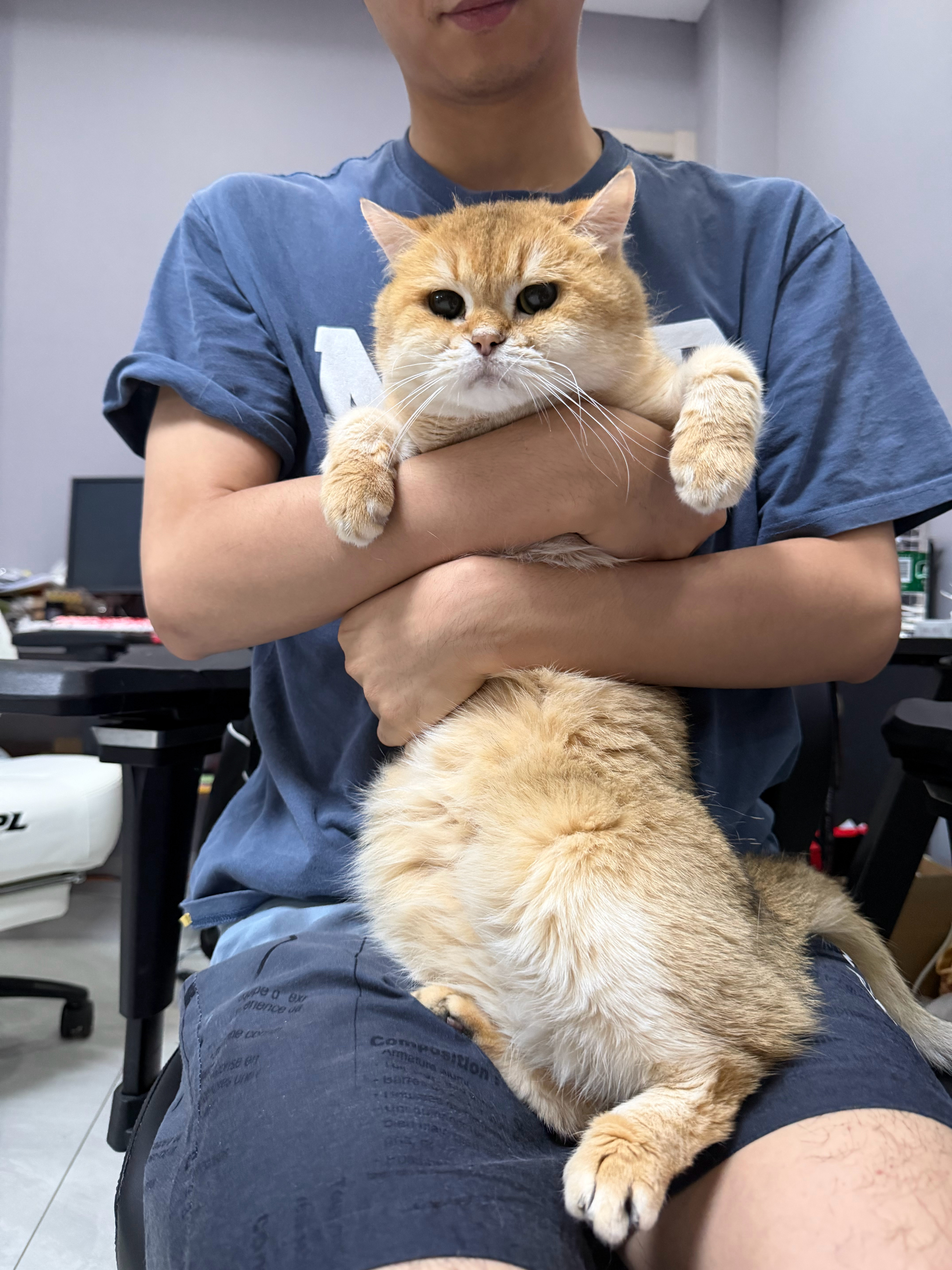 清纯男猫在线求抱