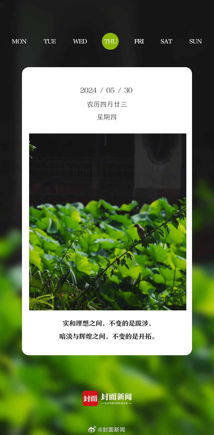 #小封日历# 早安，周四啦！今天叫醒你的是_____？ ​​​