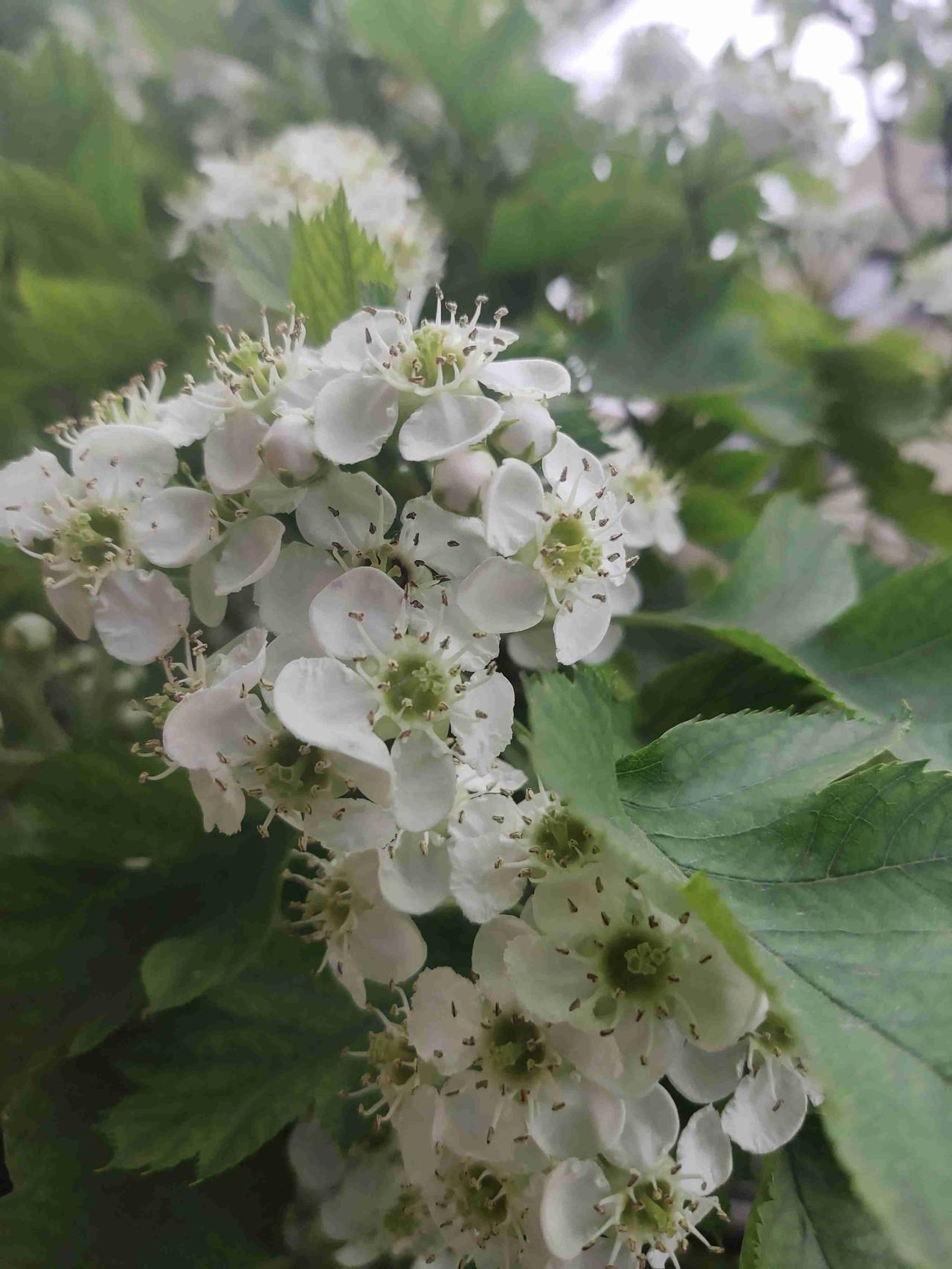 我的今日状态：😁轻松愉快
我这里的天气：🌧下雨