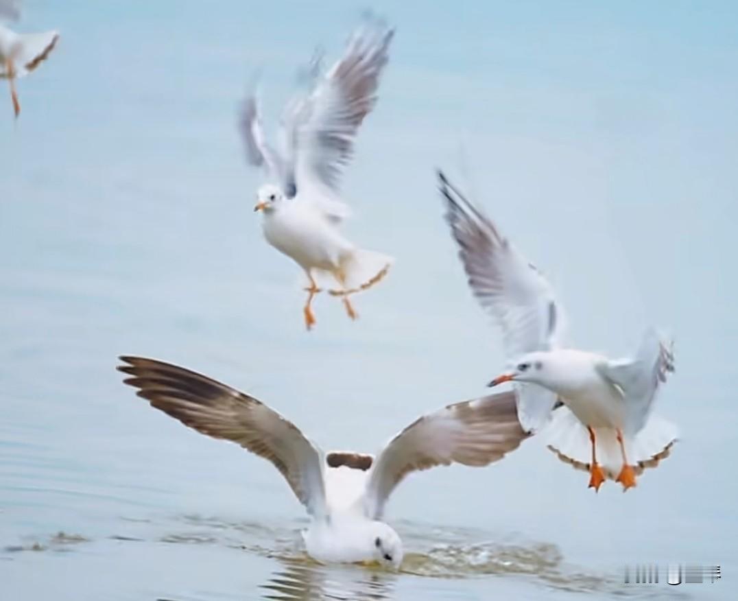 自从看了短剧，每天都是帅哥美女，感觉每天心情美美哒！



可今天去菜市场，艾玛