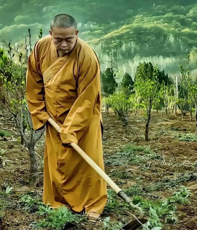 释永信到底去哪了，目前少林寺的回应是，一切等官方的通知。其实从昨天，我就在网上看