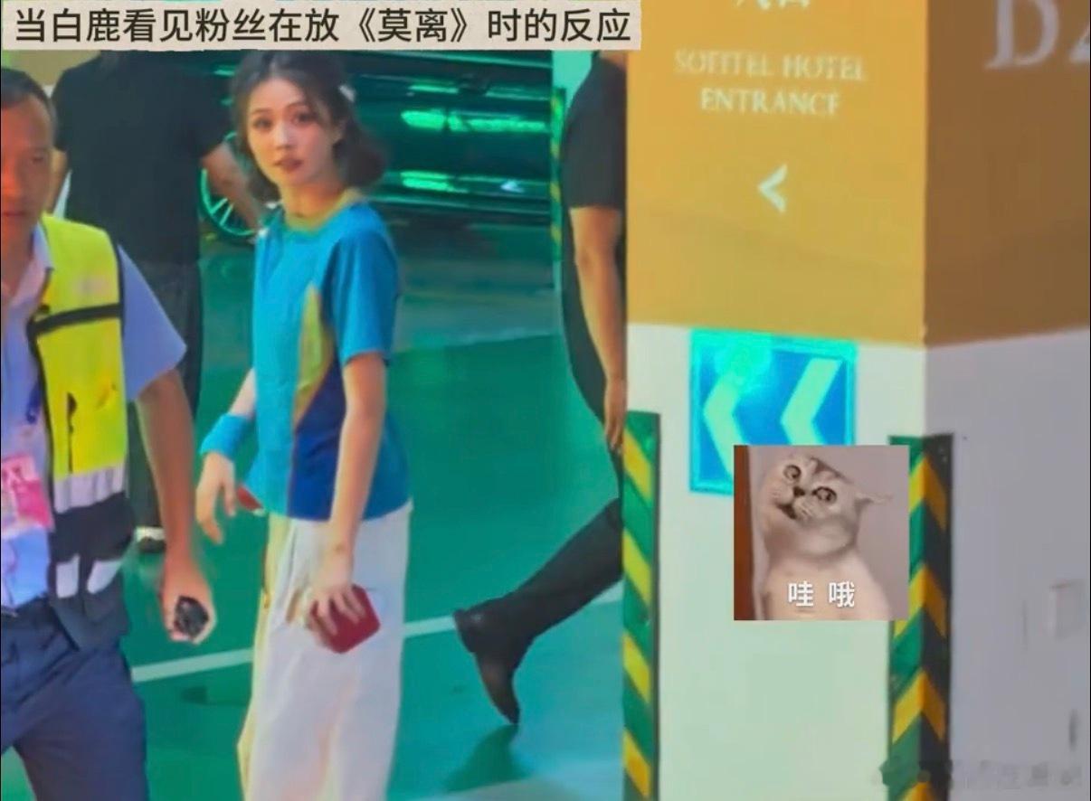 当白鹿看见粉丝在放莫离时的反应 白鹿在停车场一看见粉丝放《莫离》，眼睛瞬间亮起来