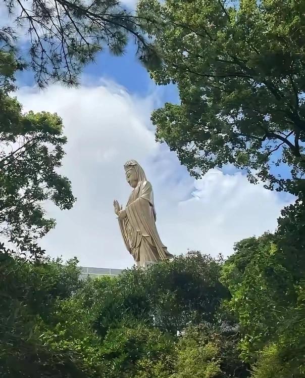 通知一下，大家好有个心理准备。今天8月23号，终于到了今年40天超长三伏的最后一