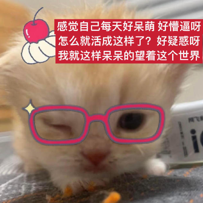 就这样呆萌地抢到了三天的1280呀 ​​​