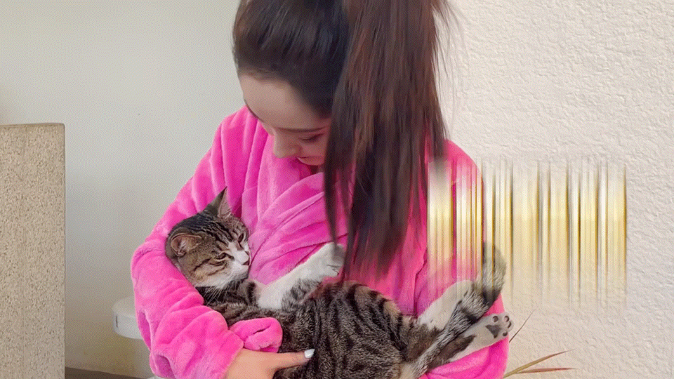 我想做只猫，杨幂怀里的那只猫咪！杨幂和猫咪之间亲密的互动，让我见识到她生活中的简